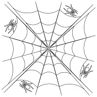 spider web pano 003